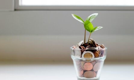 avoir credit interimaire