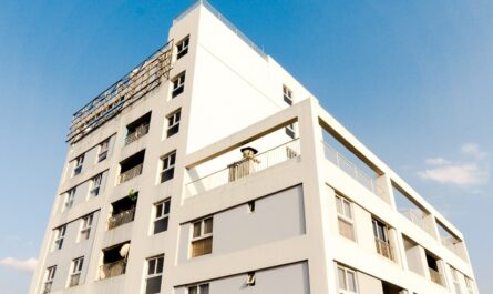 apport investissement locatif