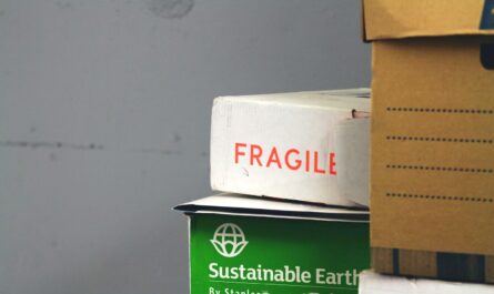 carton demenagement